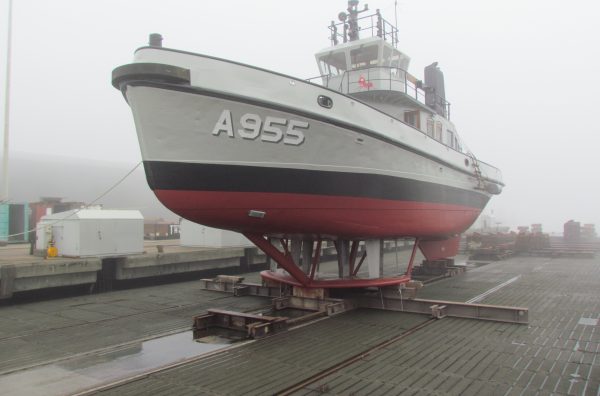 A955 MIER