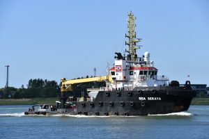 Sea Seraya