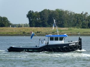 KAMARINA, WALVIS en GEPKE