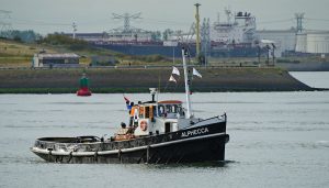 ALPHECCA T.H.V HOEK VAN HOLLAND
